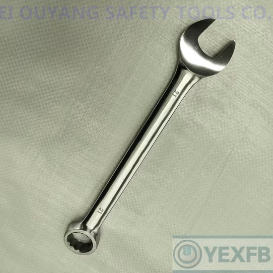 Chave combinada simples de aço inoxidável/chave inglesa, 21 mm, SS304/420/316
